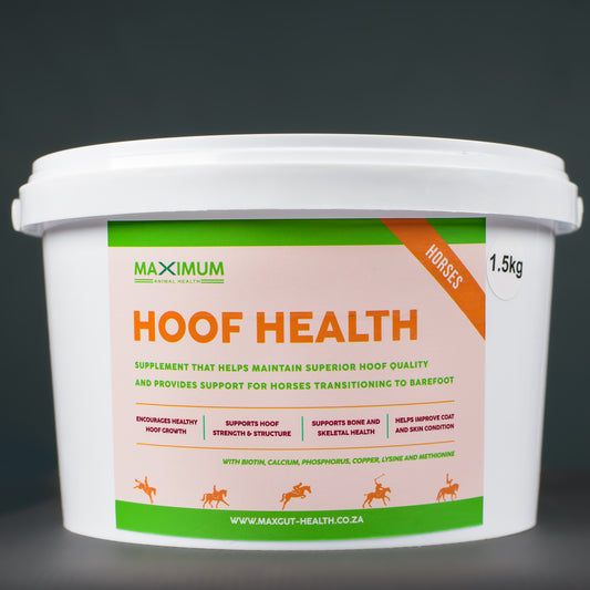 Max Gut Health - Hoof Health