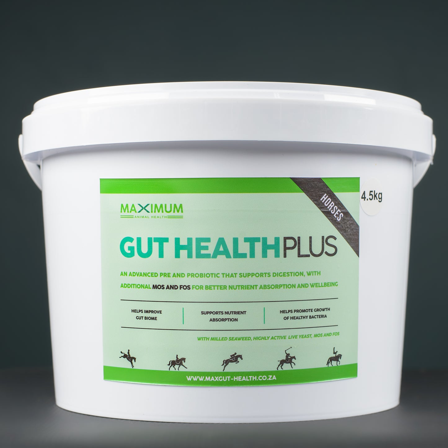 Max Gut Health PLUS