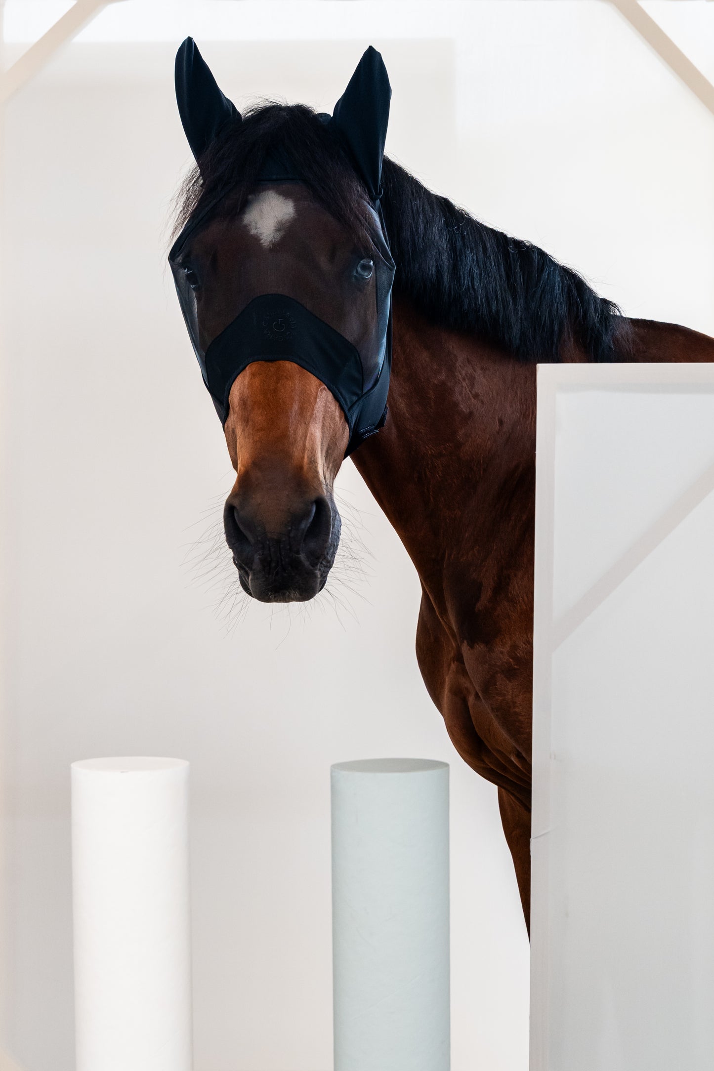 Cavalleria Toscana Fly Mask