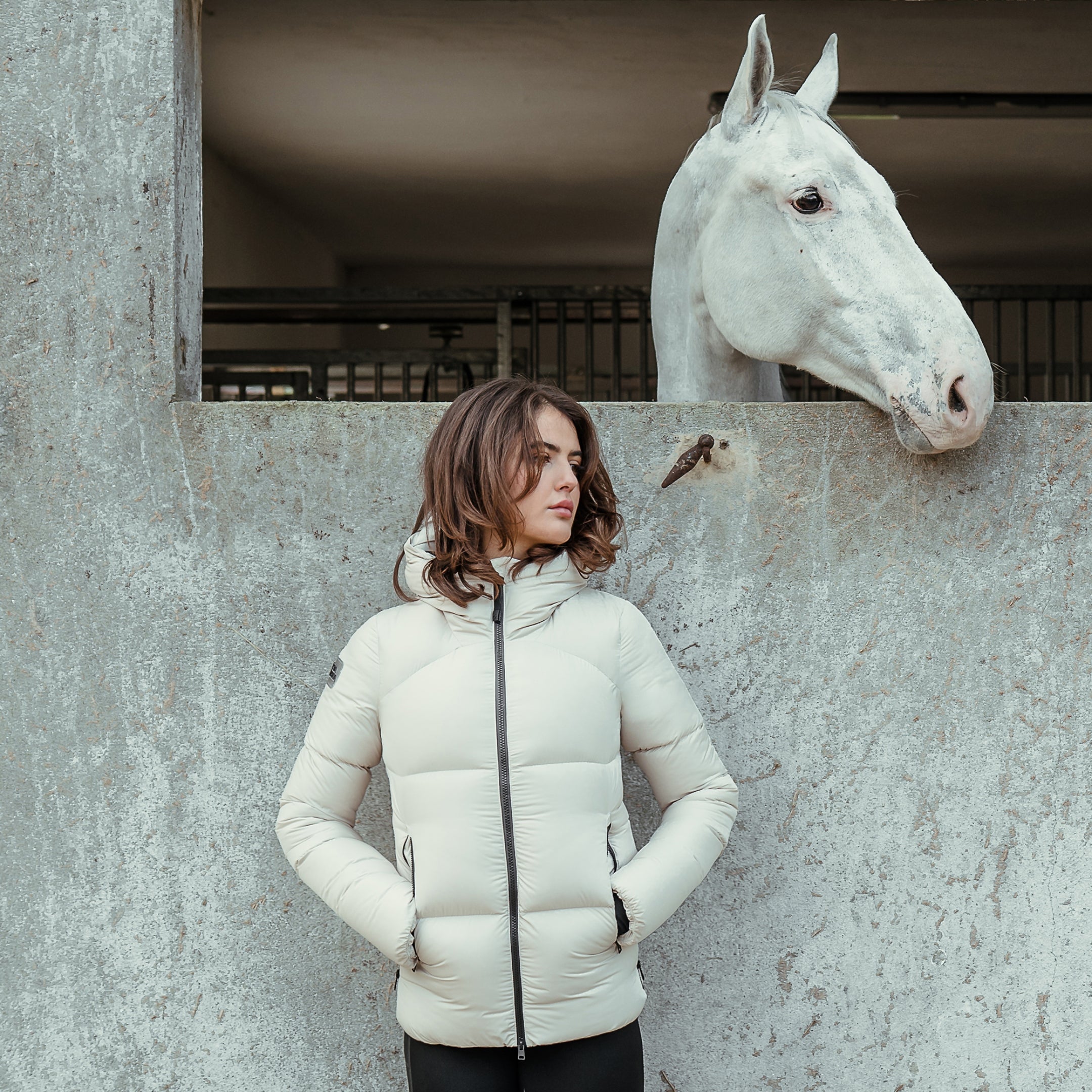 Horse Supplements