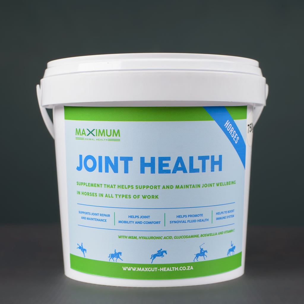 Max Joint Health