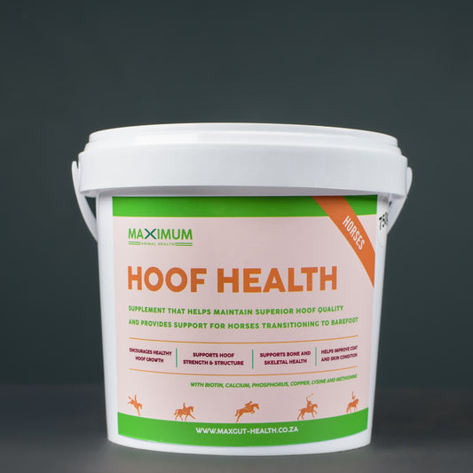Max Gut Health - Hoof Health