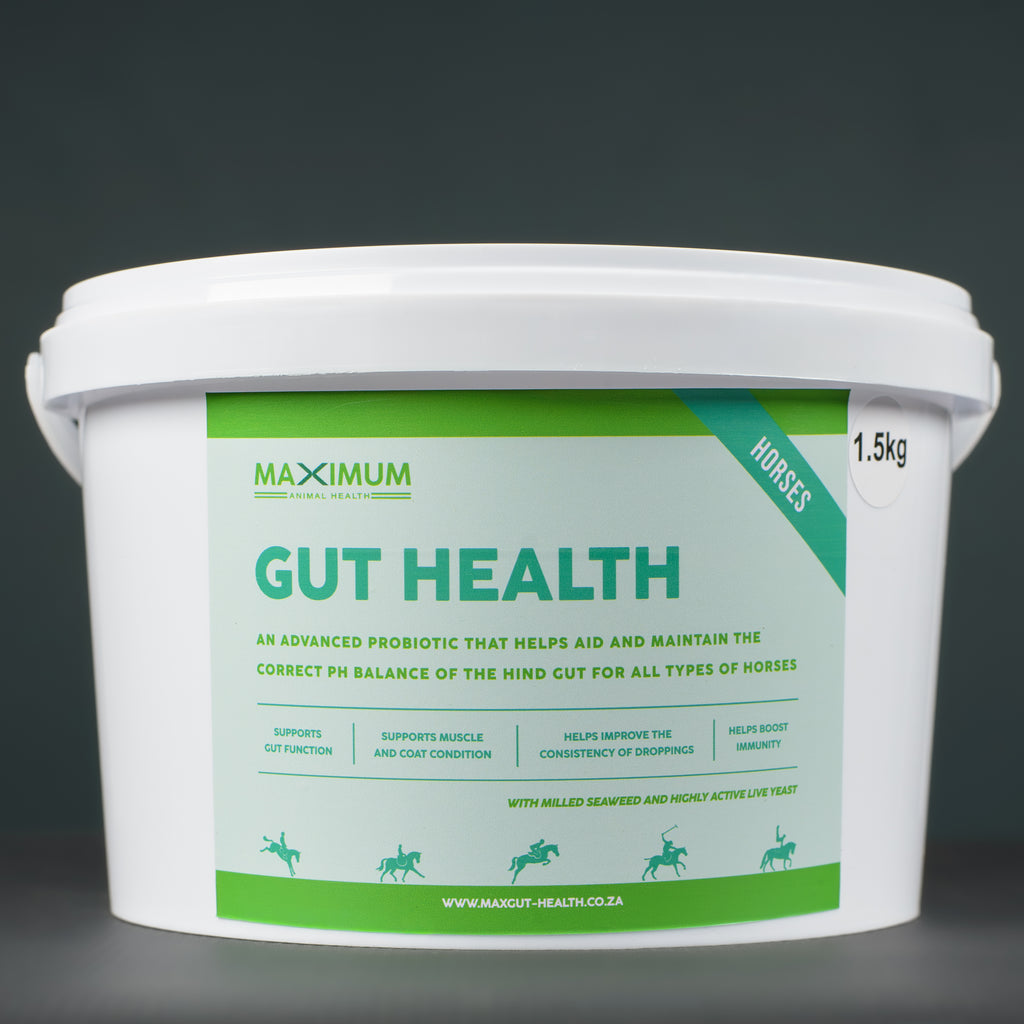 Max Gut Health