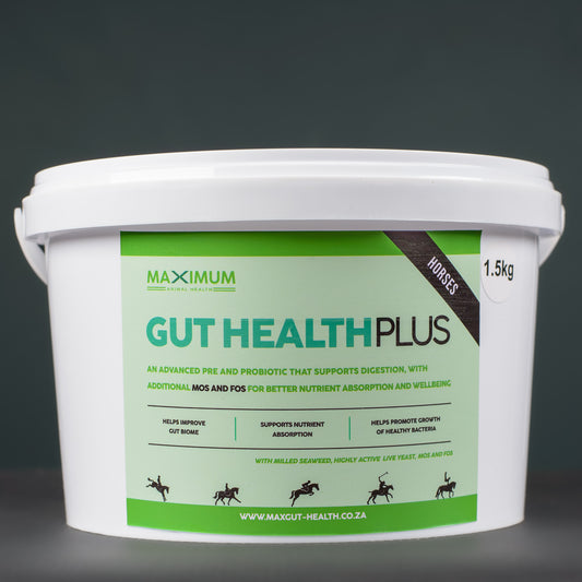 Max Gut Health PLUS