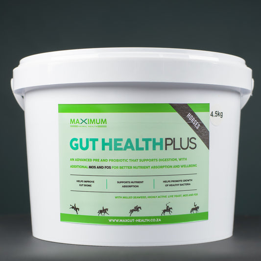 Max Gut Health PLUS