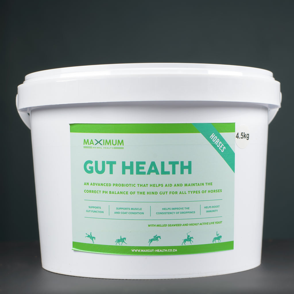 Max Gut Health
