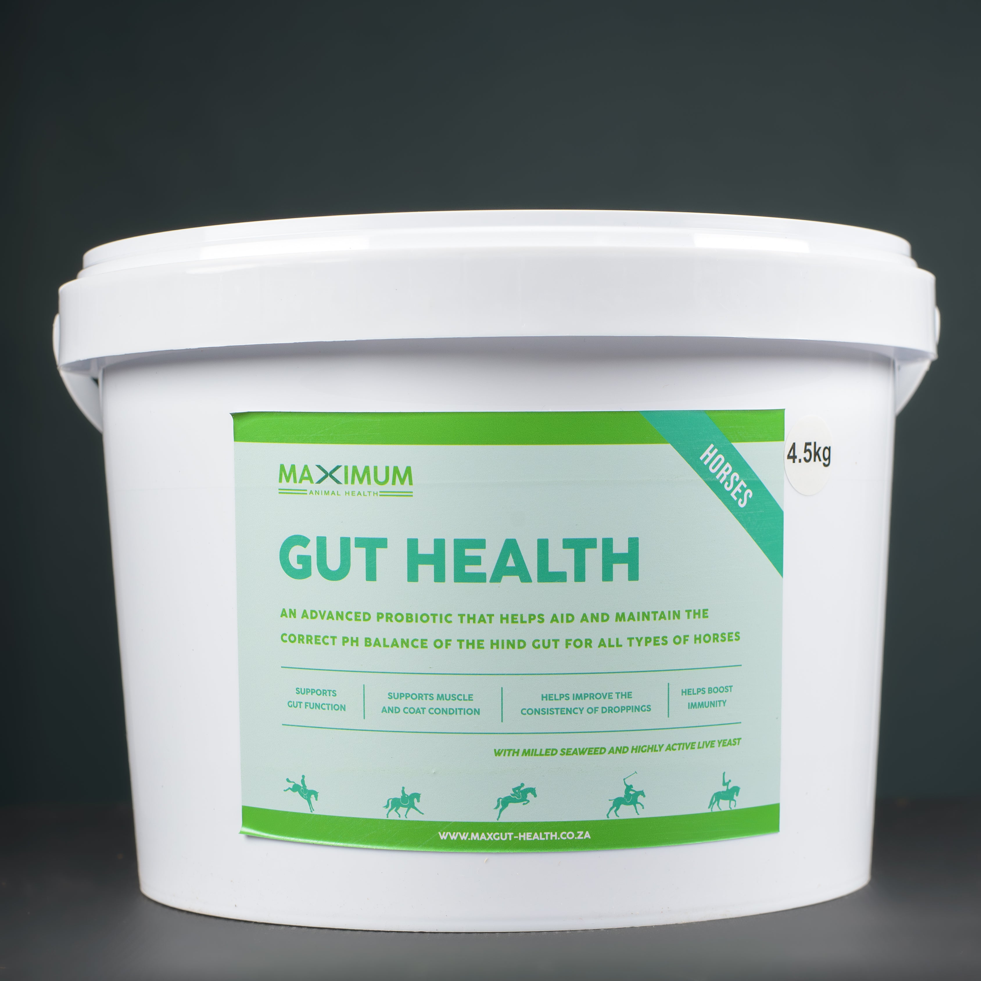 Max Gut Health