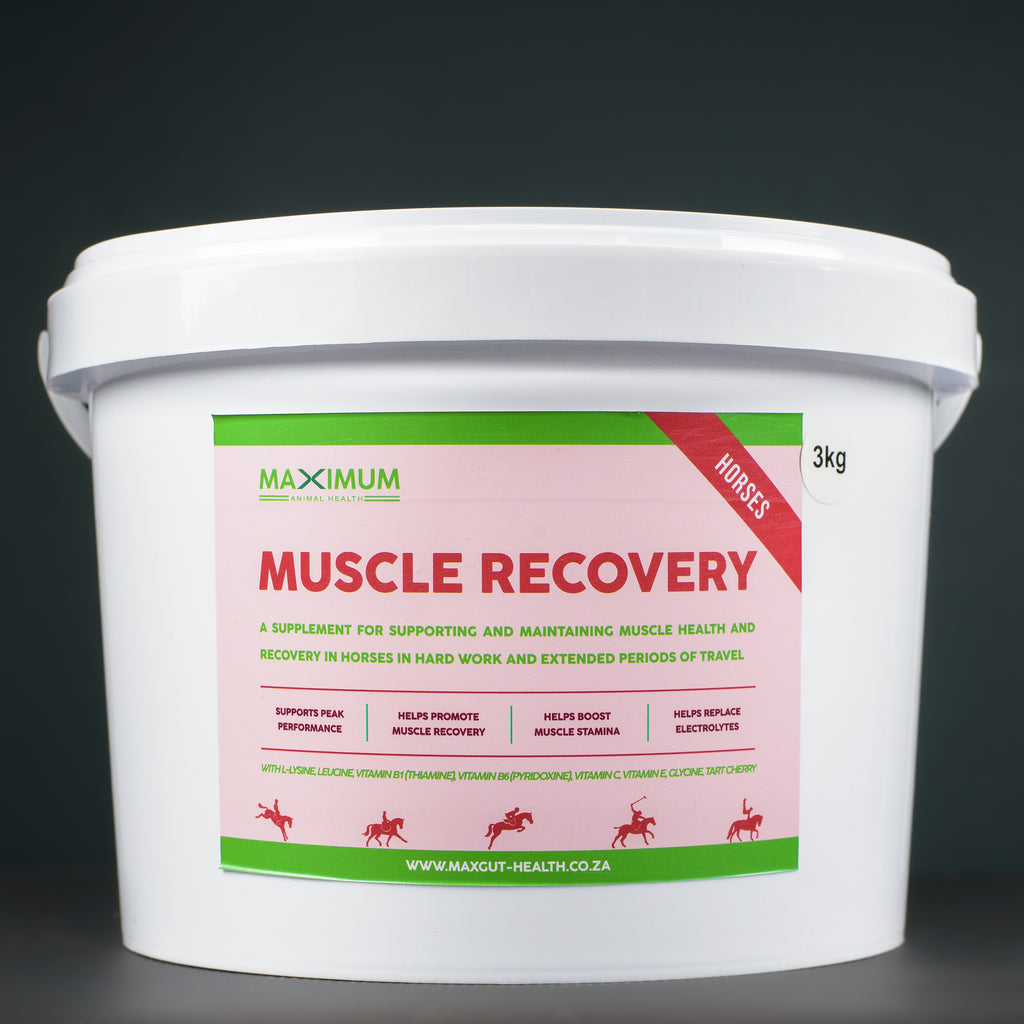 Muscle Recovery