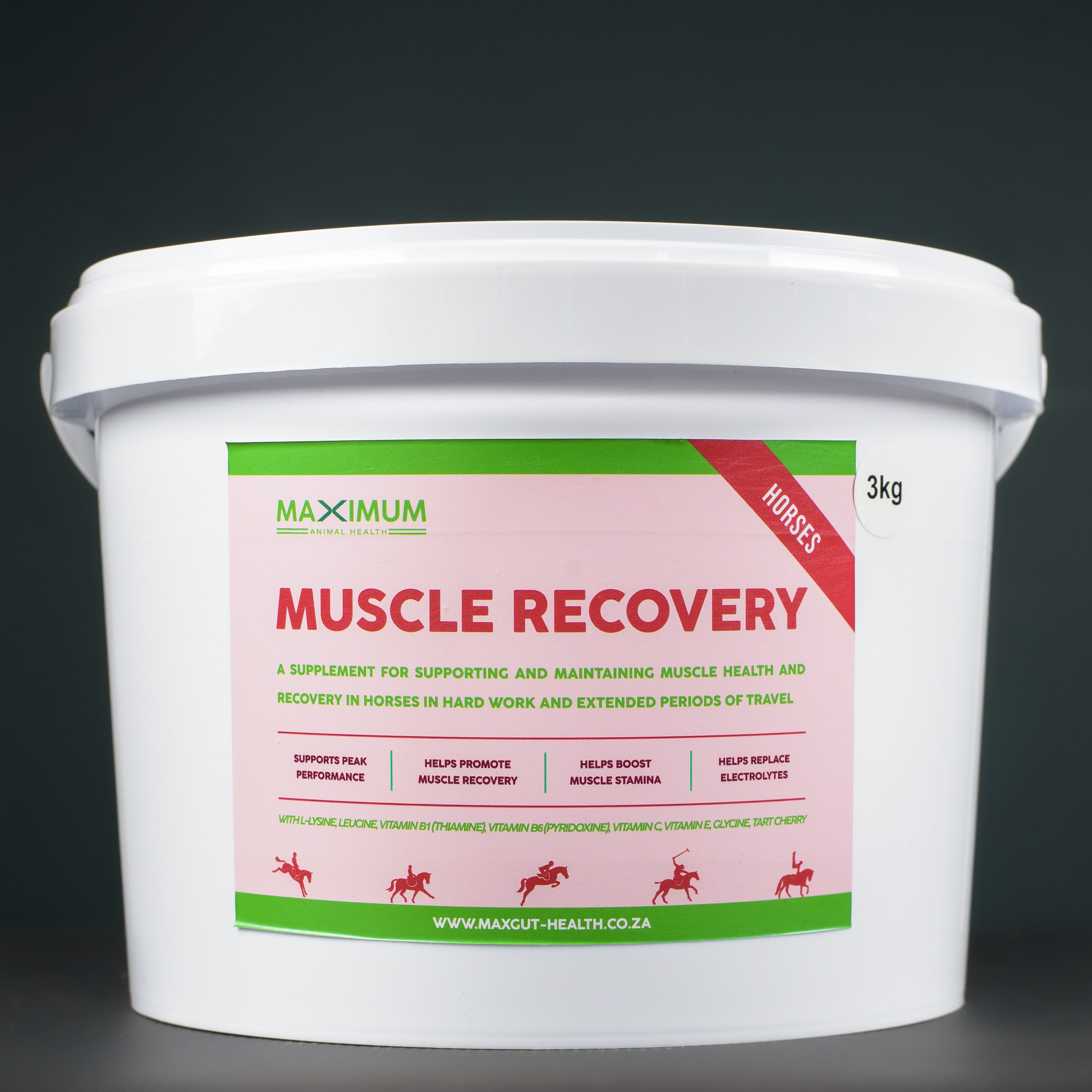 Muscle Recovery