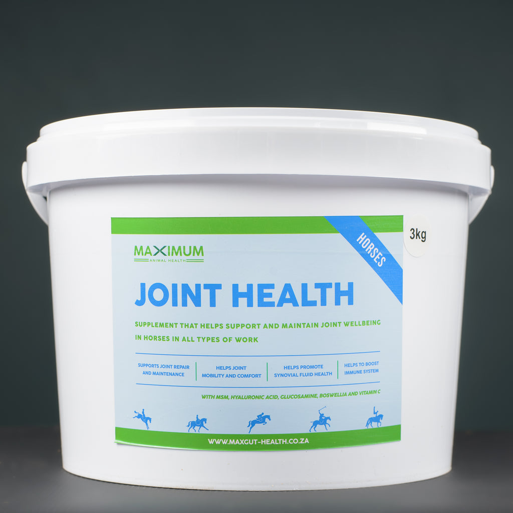Max Joint Health